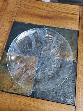 Vintage Arcoroc Canterbury Crocus Flower Plate